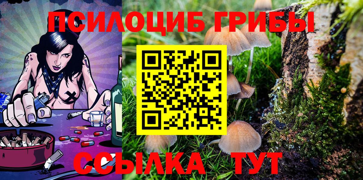 Псилоцибиновые грибы прущие грибы Сатка