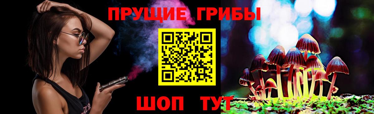 Псилоцибиновые грибы мицелий  купить наркотики сайты  Сатка  Вход с VPN 